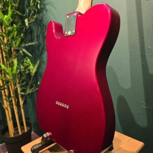 aria pro 2 teg 002 ca