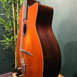 eastman dm2/v