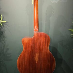 eastman dm2/v