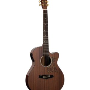 tanglewood tw47re