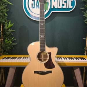 eastman ac422ce ( l.r.baggs )