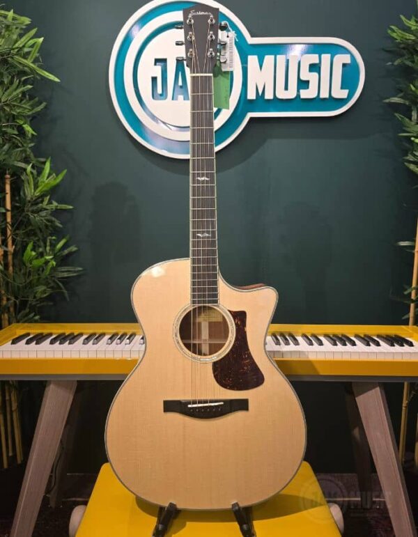eastman ac422ce ( l.r.baggs )