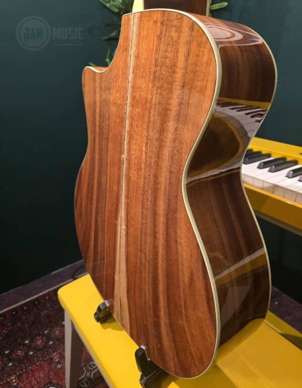 eastman ac422ce ( l.r.baggs )